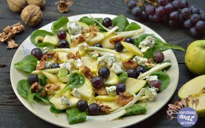 Herfstsalade met venkel, appel en druiven